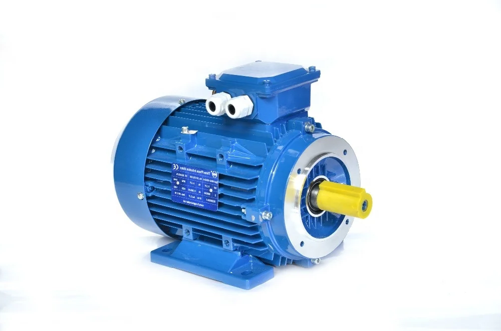 Электродвигатель АИС 100 LB4 IM2181